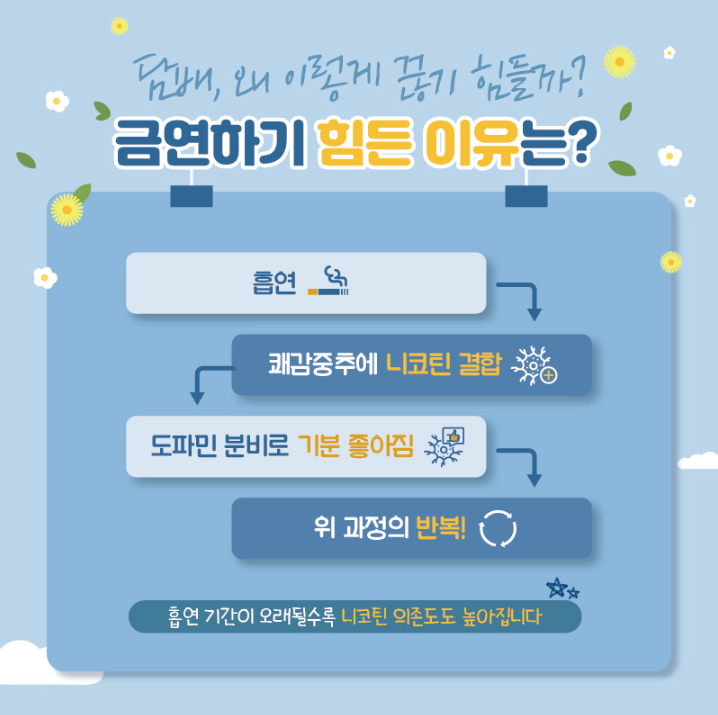 담배, 왜 이렇게 끊기 힘들까? 금연하기 힘든 이유는? 흡연 - 쾌감중추에 니코틴 결합 - 도파민 분비로 기분 좋아짐 - 위 과정의 반복! 흡연 기간이 오래될수록 니코틴 의존도도 높아집니다