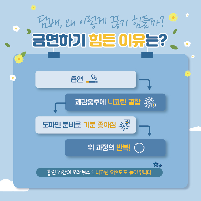 담배, 왜 이렇게 끊기 힘들까? 금연하기 힘든 이유는? 흡연 쾌감중추에 니코틴 결합 도파민 분비로 기분 좋아짐 위 과정의 반복! 흡연 기간이 오래될수록 니코틴 의존도도 높아집니다.